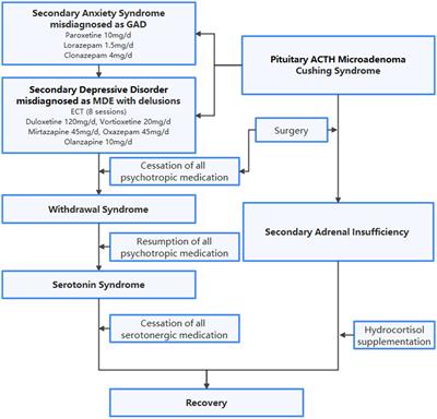 Misdiagnosed psychiatric manifestations in a rare disease: a case report of secondary anxiety syndrome in Cushing’s disease